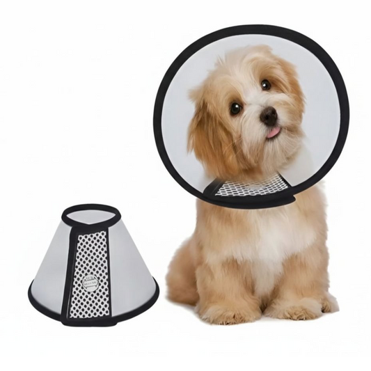 Collar Isabelino Campana Cuello Mascotas Pequeño #7