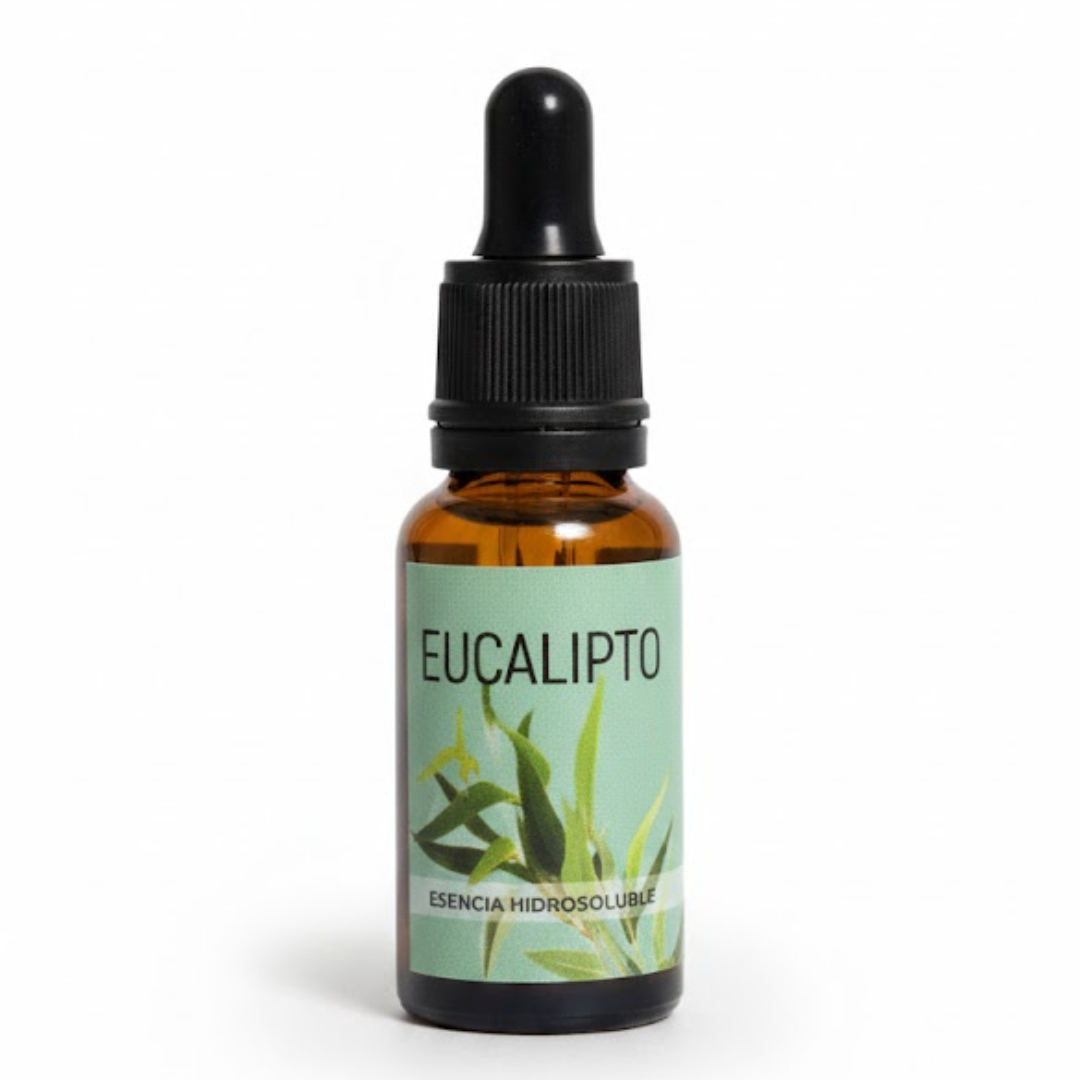 Esencia Hidrosoluble – Eucalipto